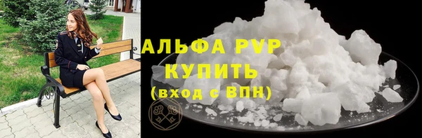 прущие грибы Баксан