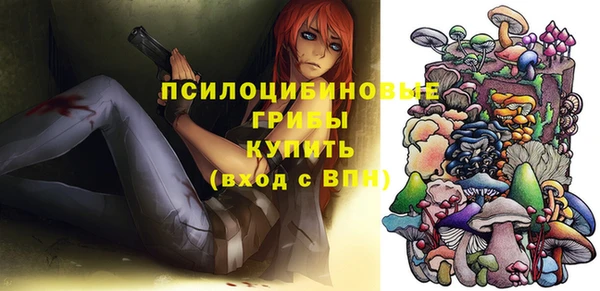 прущие грибы Баксан