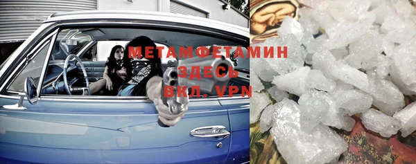 прущие грибы Баксан
