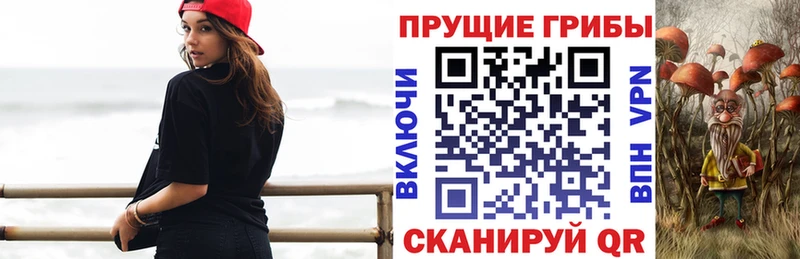 Псилоцибиновые грибы GOLDEN TEACHER  Судак 