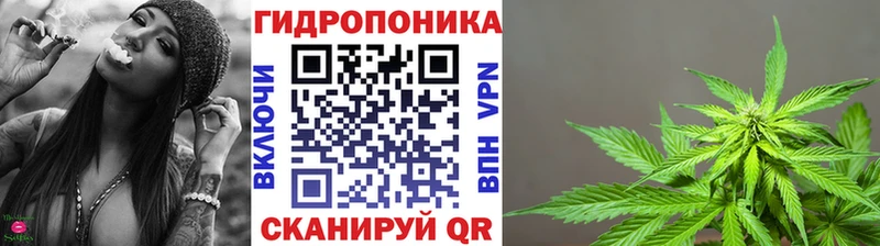 закладки  Судак  блэк спрут сайт  Каннабис Bruce Banner 